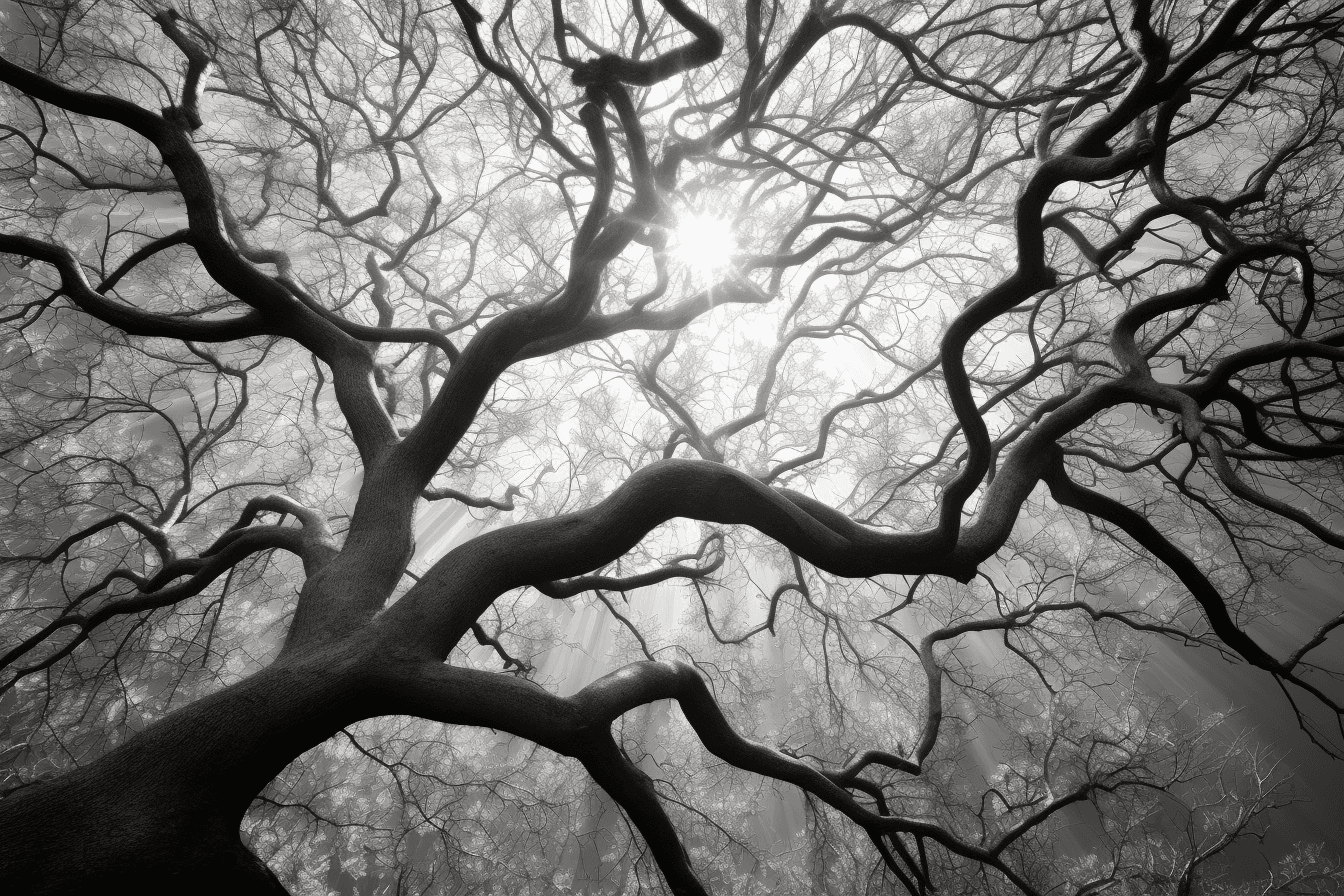 Midjourney: Tranquil Rays